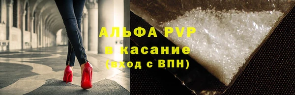 гидра Надым