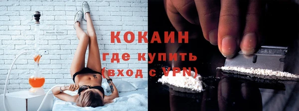 гидра Надым
