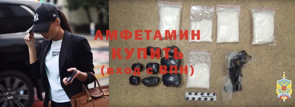 гидра Надым