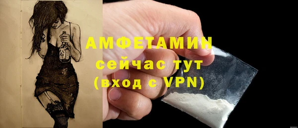 амф Бердск
