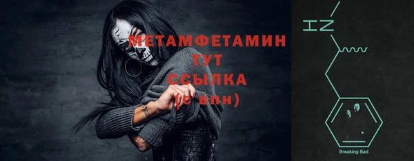 гидра Надым