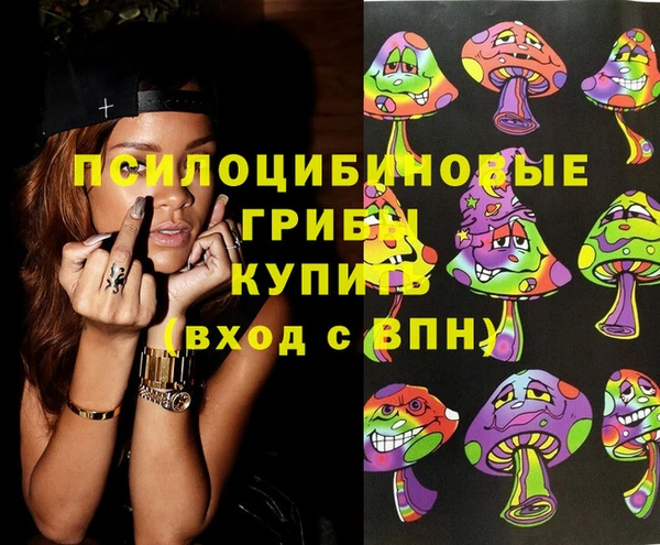 гидра Надым